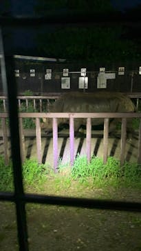 那須サファリパークに投稿された画像（2023/8/16）