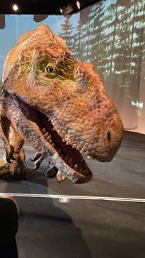 福井県立恐竜博物館に投稿された画像（2023/8/16）