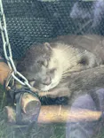サンシャイン水族館に投稿された画像（2023/8/16）