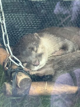 サンシャイン水族館に投稿された画像（2023/8/16）