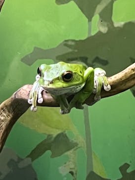 サンシャイン水族館に投稿された画像（2023/8/16）