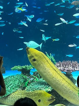 サンシャイン水族館に投稿された画像（2023/8/16）