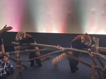 横浜・八景島シーパラダイスに投稿された画像（2023/8/16）