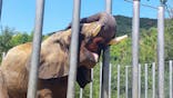 しろとり動物園に投稿された画像（2023/8/16）