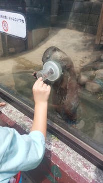 しろとり動物園に投稿された画像（2023/8/16）