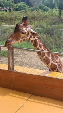 しろとり動物園に投稿された画像（2023/8/16）