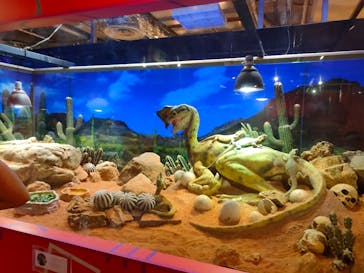 NARA IKIMONO MUSEUMに投稿された画像（2023/8/16）