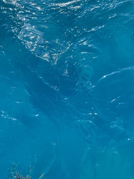 鈴鹿サーキットに投稿された画像（2023/8/16）