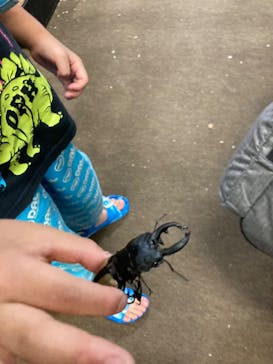 JOYPOLIS 特別イベントスペースに投稿された画像（2023/8/16）