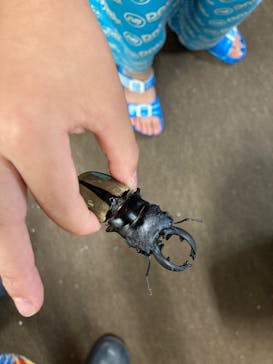 JOYPOLIS 特別イベントスペースに投稿された画像（2023/8/16）