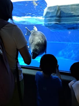サンシャイン水族館に投稿された画像（2023/8/16）