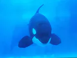 名古屋港水族館に投稿された画像（2023/8/16）