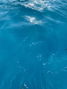 鈴鹿サーキットに投稿された画像（2023/8/16）