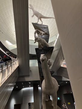 福井県立恐竜博物館に投稿された画像（2023/8/16）