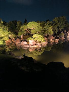 NAKED meets 二条城 2025 観月に投稿された画像（2023/8/16）