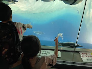 名古屋港水族館に投稿された画像（2023/8/16）