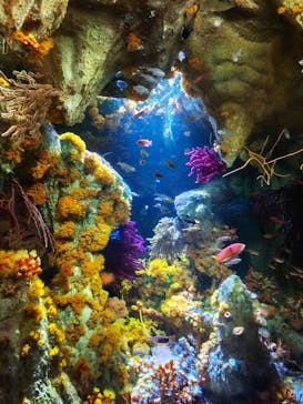 サンシャイン水族館に投稿された画像（2023/8/16）