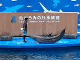 仙台うみの杜水族館に投稿された画像（2023/8/16）