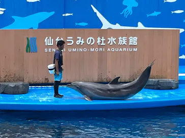 仙台うみの杜水族館に投稿された画像（2023/8/16）