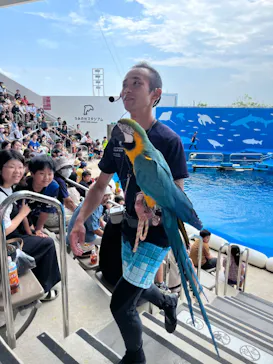 仙台うみの杜水族館に投稿された画像（2023/8/16）