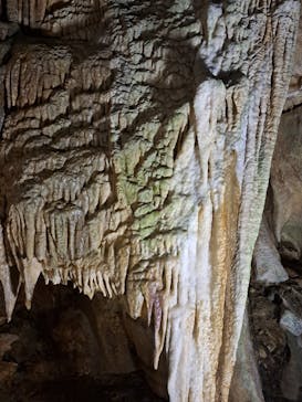 あぶくま洞に投稿された画像（2023/8/16）