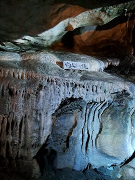 あぶくま洞に投稿された画像（2023/8/16）