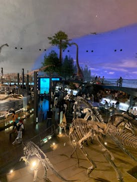 福井県立恐竜博物館に投稿された画像（2023/8/16）
