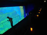 仙台うみの杜水族館に投稿された画像（2023/8/16）