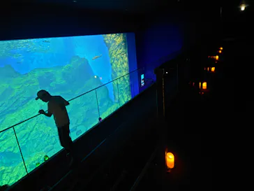 仙台うみの杜水族館に投稿された画像（2023/8/16）