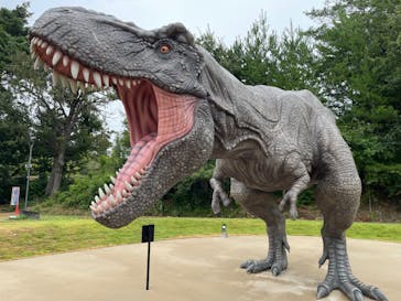 福井県立恐竜博物館に投稿された画像（2023/8/16）