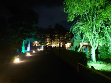 NAKED meets 二条城 2025 観月に投稿された画像（2023/8/16）