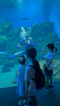 仙台うみの杜水族館に投稿された画像（2023/8/16）