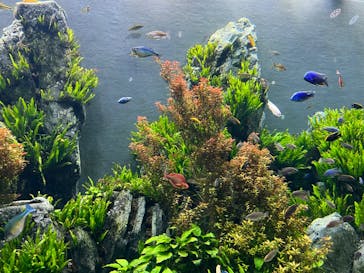 ラド観光 沖縄営業所に投稿された画像（2023/8/16）