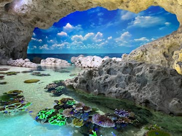 ラド観光 沖縄営業所に投稿された画像（2023/8/16）