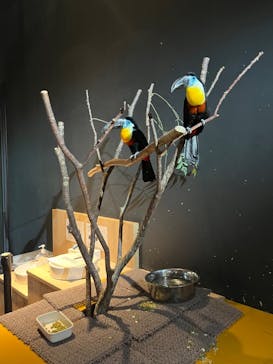 ラド観光 沖縄営業所に投稿された画像（2023/8/16）