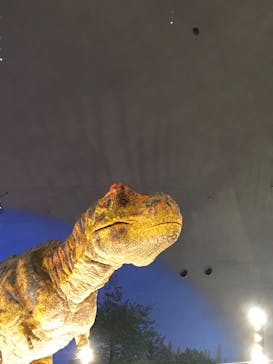 福井県立恐竜博物館に投稿された画像（2023/8/16）