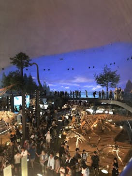 福井県立恐竜博物館に投稿された画像（2023/8/16）