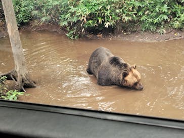 サホロリゾート　ベア･マウンテンに投稿された画像（2023/8/16）
