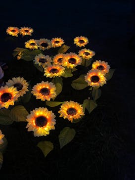 せんだい農業園芸センター　みどりの杜に投稿された画像（2023/8/16）