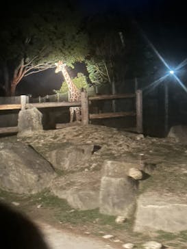 群馬サファリパークに投稿された画像（2023/8/16）