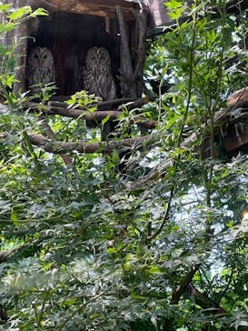 環境水族館アクアマリンふくしまに投稿された画像（2023/8/16）