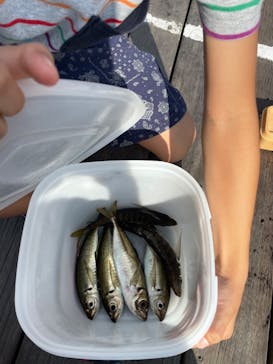 環境水族館アクアマリンふくしまに投稿された画像（2023/8/16）