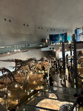 福井県立恐竜博物館に投稿された画像（2023/8/16）