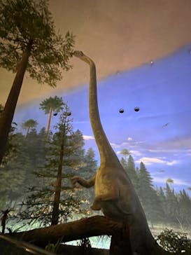 福井県立恐竜博物館に投稿された画像（2023/8/16）