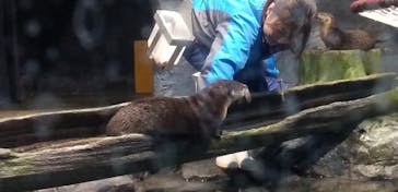 アクアワールド茨城県大洗水族館に投稿された画像（2023/8/16）
