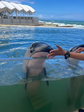 城崎マリンワールドに投稿された画像（2023/8/16）