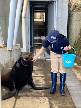 城崎マリンワールドに投稿された画像（2023/8/16）