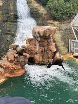 城崎マリンワールドに投稿された画像（2023/8/16）