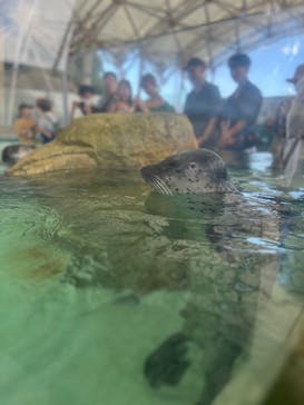 城崎マリンワールドに投稿された画像（2023/8/16）