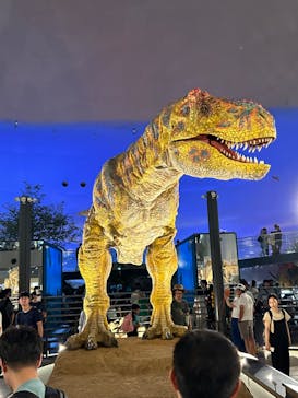 福井県立恐竜博物館に投稿された画像（2023/8/16）